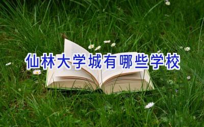 仙林大学城有哪些学校