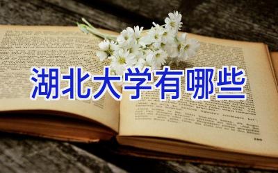 湖北大学有哪些