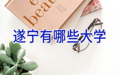 遂宁有哪些大学