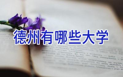 德州有哪些大学