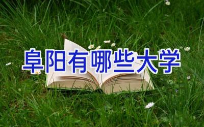 阜阳有哪些大学