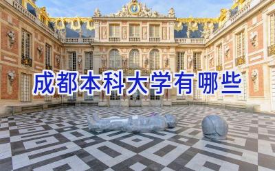成都本科大学有哪些