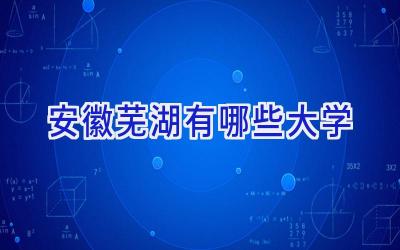安徽芜湖有哪些大学