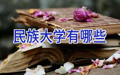 民族大学有哪些