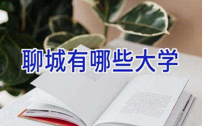 聊城有哪些大学