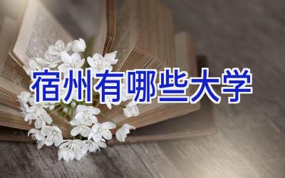 宿州有哪些大学