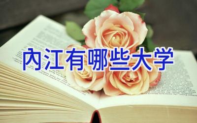 内江有哪些大学