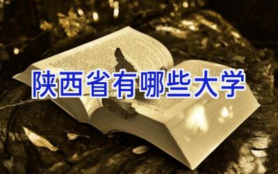 陕西省有哪些大学