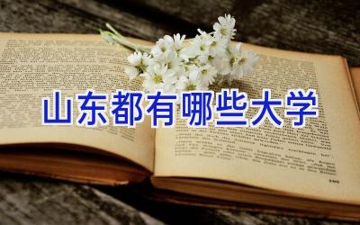 山东都有哪些大学