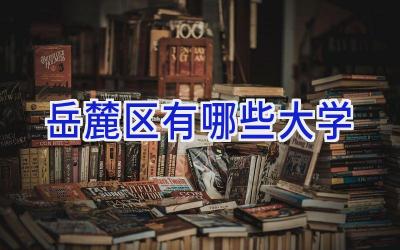 岳麓区有哪些大学