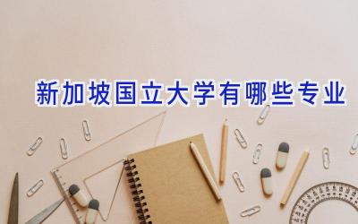 新加坡国立大学有哪些专业