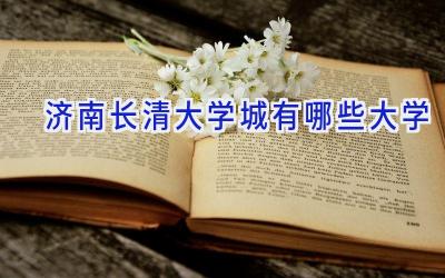 济南长清大学城有哪些大学