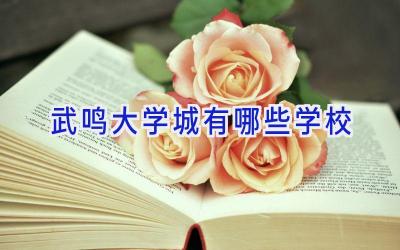 武鸣大学城有哪些学校