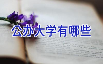 公办大学有哪些