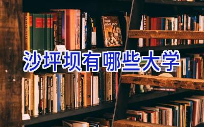 沙坪坝有哪些大学