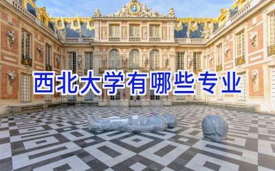 西北大学有哪些专业