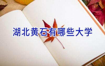 湖北黄石有哪些大学