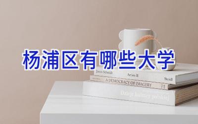 杨浦区有哪些大学