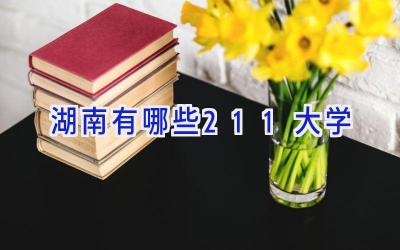 湖南有哪些211大学