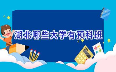 湖北哪些大学有预科班