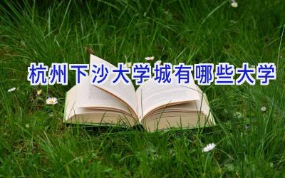 杭州下沙大学城有哪些大学