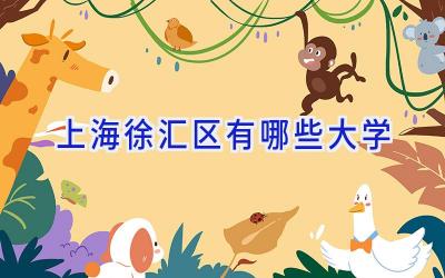 上海徐汇区有哪些大学