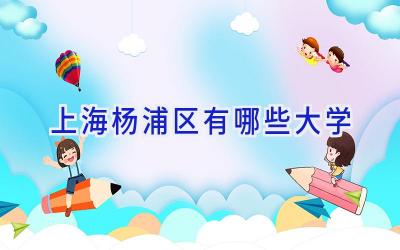 上海杨浦区有哪些大学