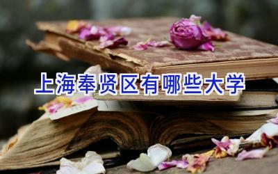 上海奉贤区有哪些大学