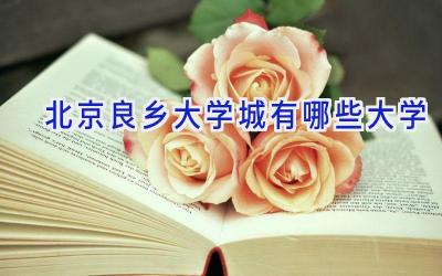 北京良乡大学城有哪些大学