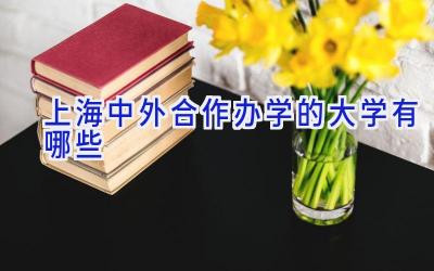 上海中外合作办学的大学有哪些