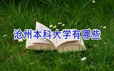 沧州本科大学有哪些