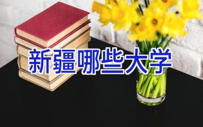 新疆哪些大学