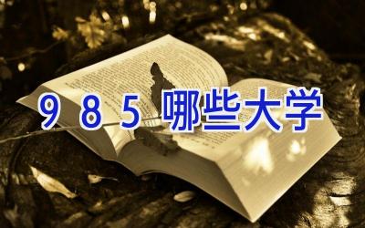 985哪些大学