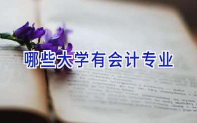 哪些大学有会计专业