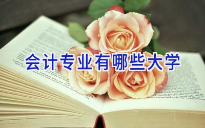 会计专业有哪些大学