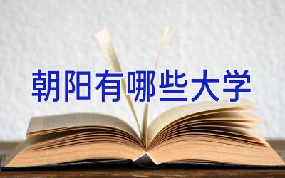 朝阳有哪些大学