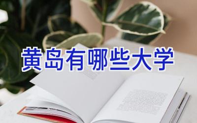 黄岛有哪些大学