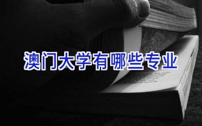 澳门大学有哪些专业