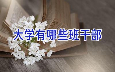 大学有哪些班干部