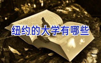 纽约的大学有哪些