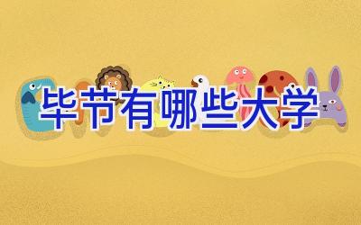 毕节有哪些大学