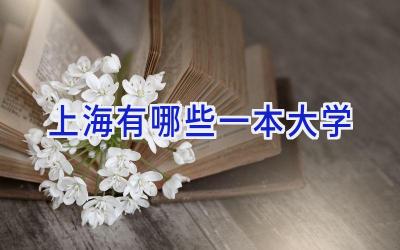 上海有哪些一本大学