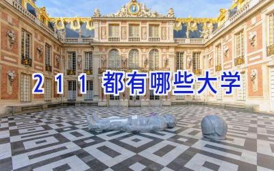 211都有哪些大学