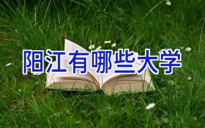 阳江有哪些大学