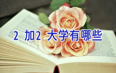 2加2大学有哪些