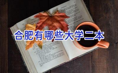 合肥有哪些大学二本