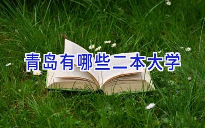 青岛有哪些二本大学