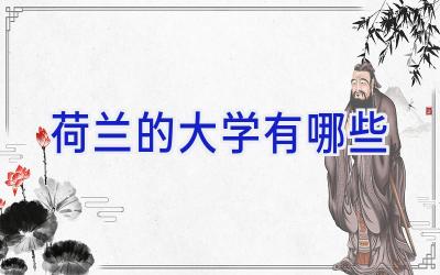 荷兰的大学有哪些