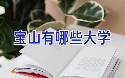 宝山有哪些大学