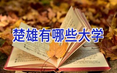 楚雄有哪些大学